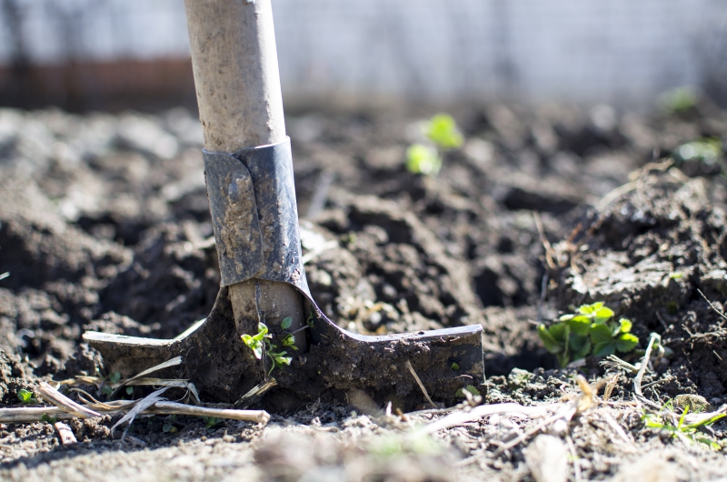 jardinerie-LA CROIX VALMER-min_equipment-2047314